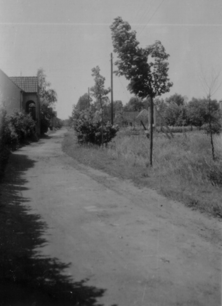 1944