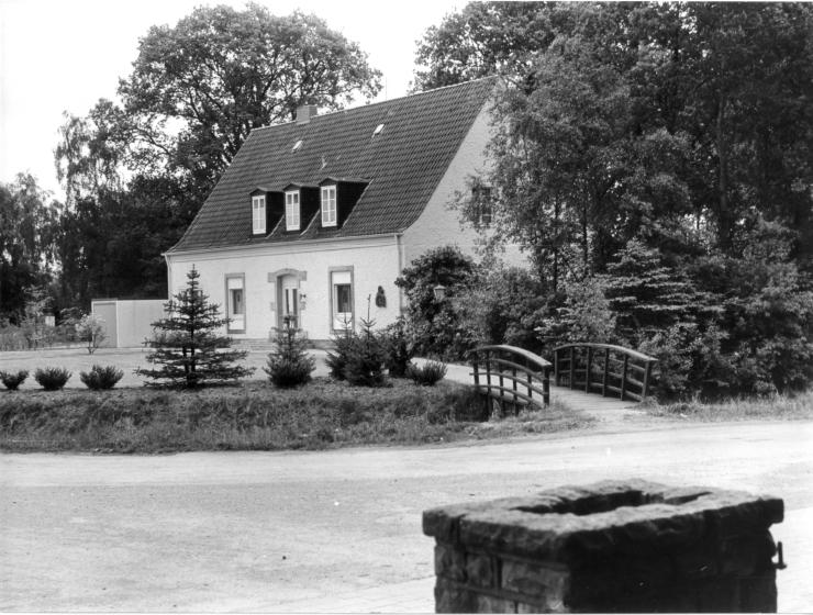 2006