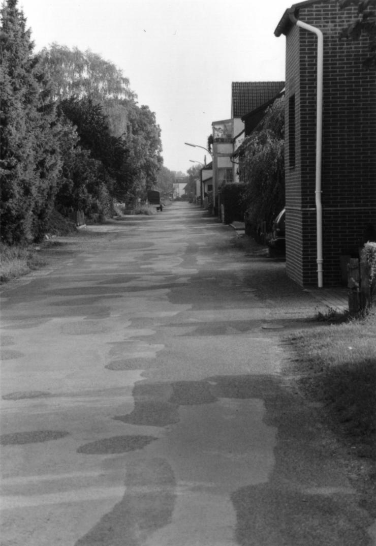 2006