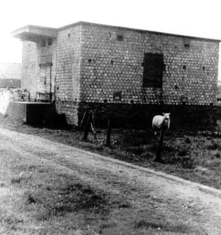 Die Aufnahme stammt wahrscheinlich aus dem Jahr 1927