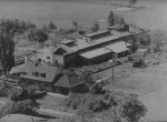 1960