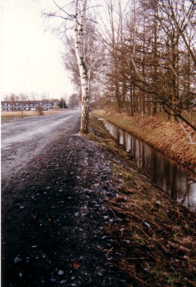 1986