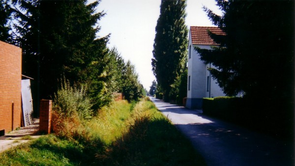 1991