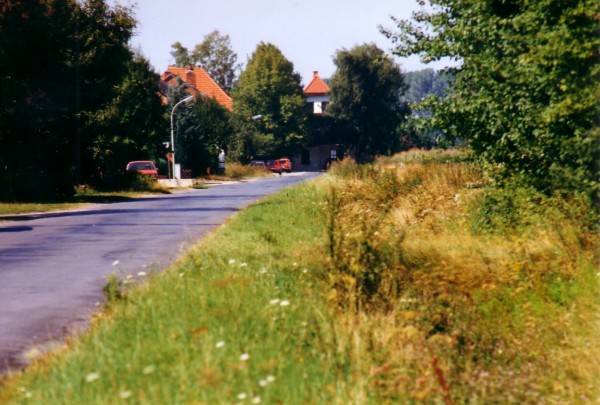 1991