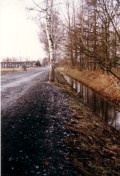 1986