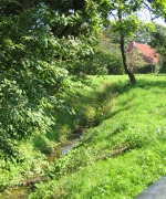 2005