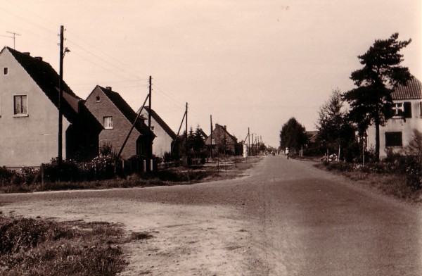 1950er Jahre
