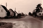1950er Jahre