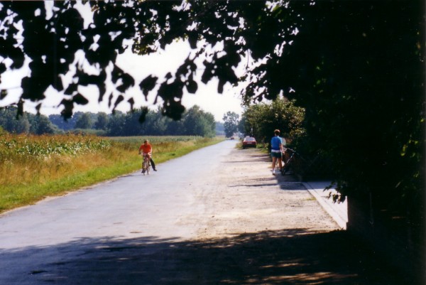 1991