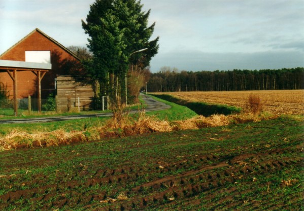 2000