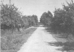 1975