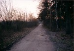 1989
