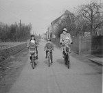 1955