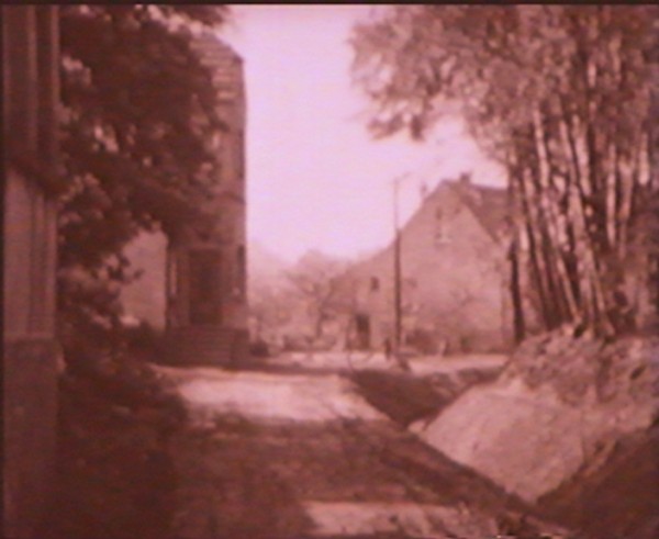 1961