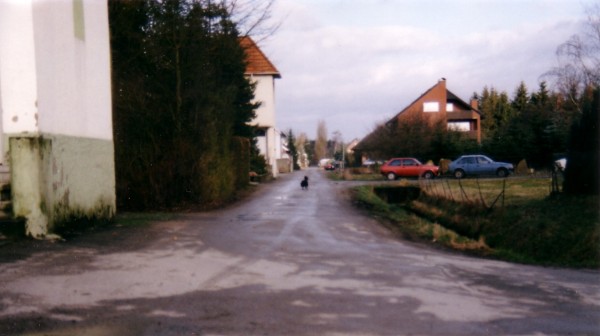 1989