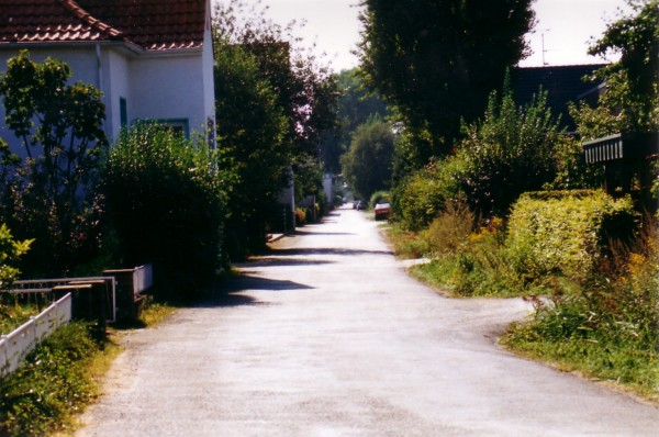 1991