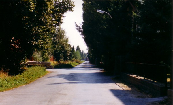 1991