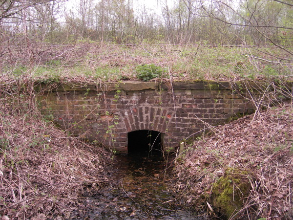 2006