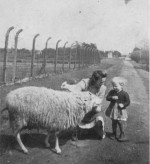 1940er? Jahre
