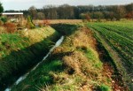 2000