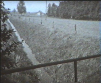 1961