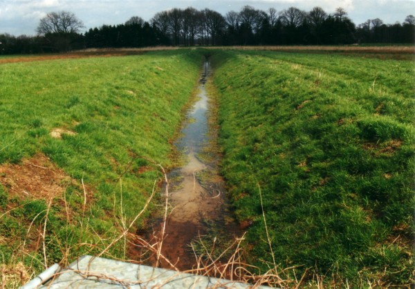 2000