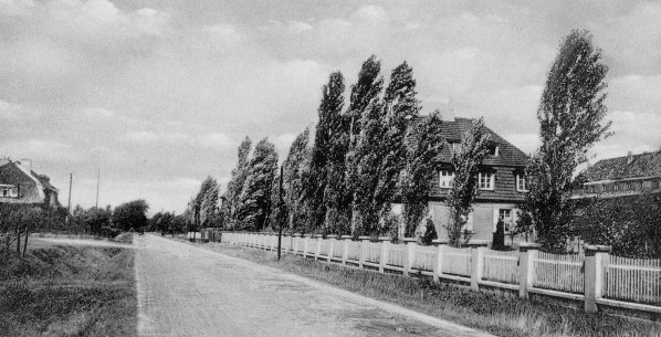 1930er Jahr