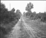 Um 1956