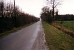 1989