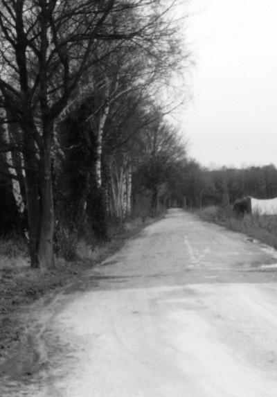 1999
