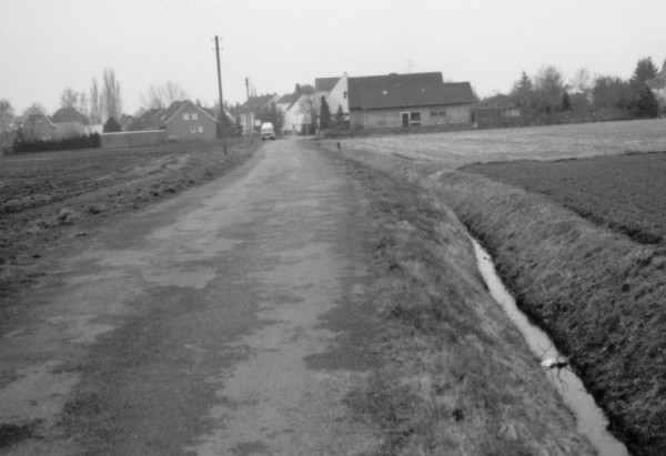 1989