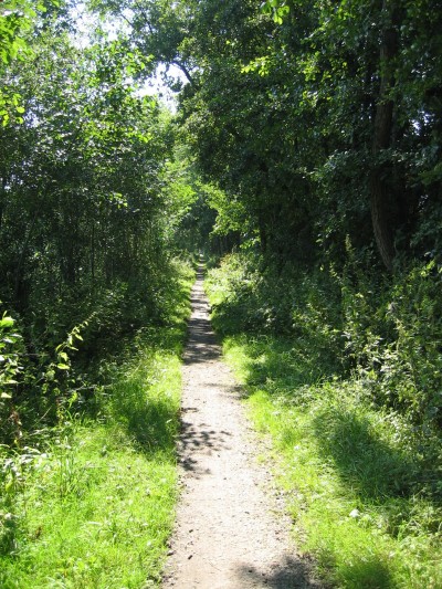 2005