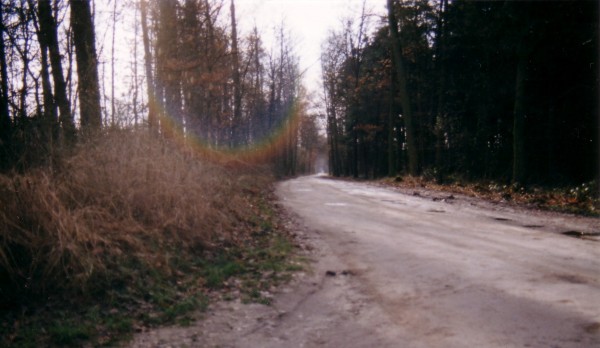 1989