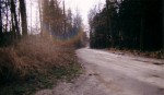 1989