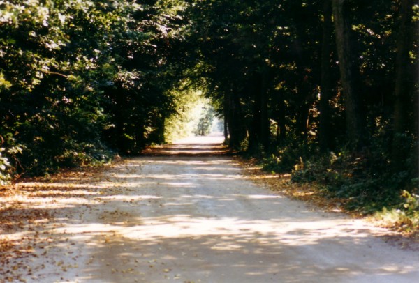 1991