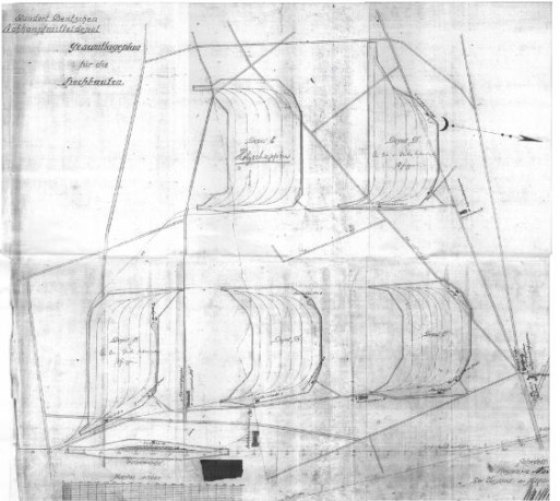 1919