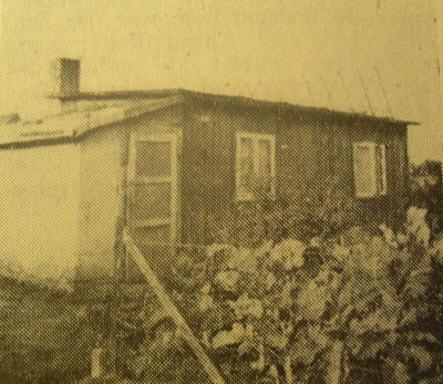 1955