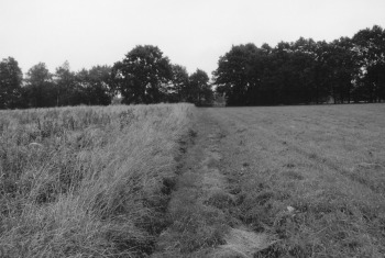 2000, Graben und Trasse des ehemaligen Hemberger Weges ist noch zu erkennen