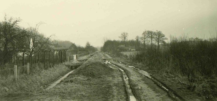 1960er, Gr&uuml;ner Weg
