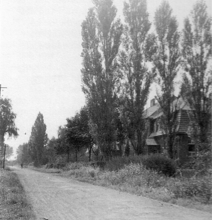 1955