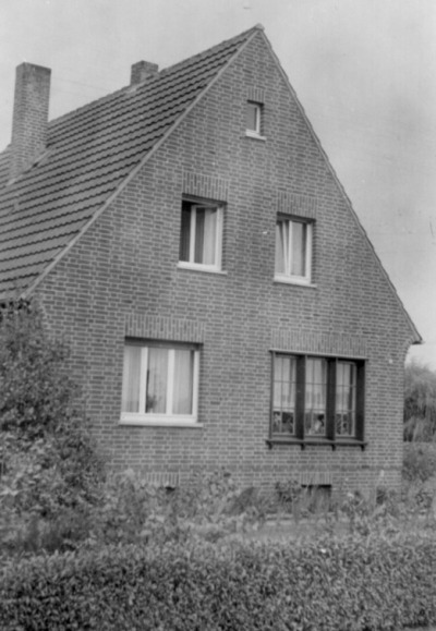 1954