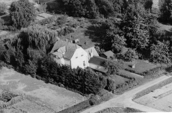 1959