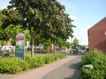 Grevener Landstra&szlig;e, 2008