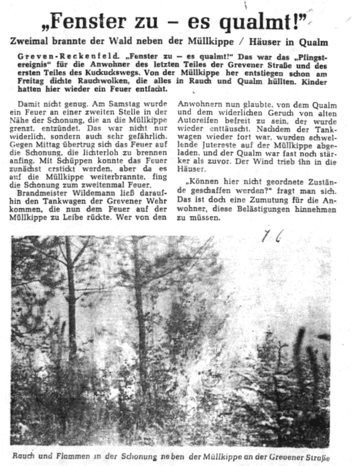 1955