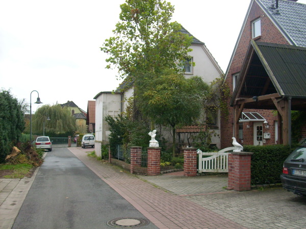 B 42, 2008