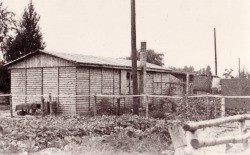 1945