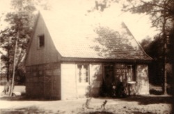 1946