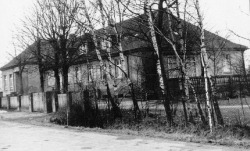 1950er Jahre