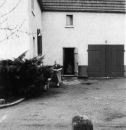 1966
